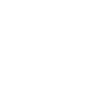 Indrone's website footer social media icon