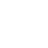 Indrone's website footer social media icon